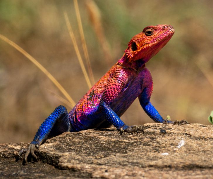 8b2bfe507494cf39957d30b78f