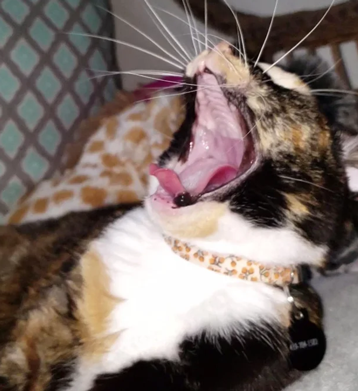 8b31875e3186e950ce73a416d9