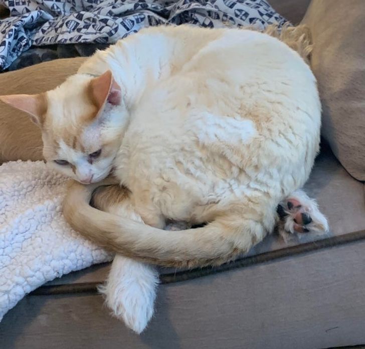 8b333e5e259a3de21bd2dde983