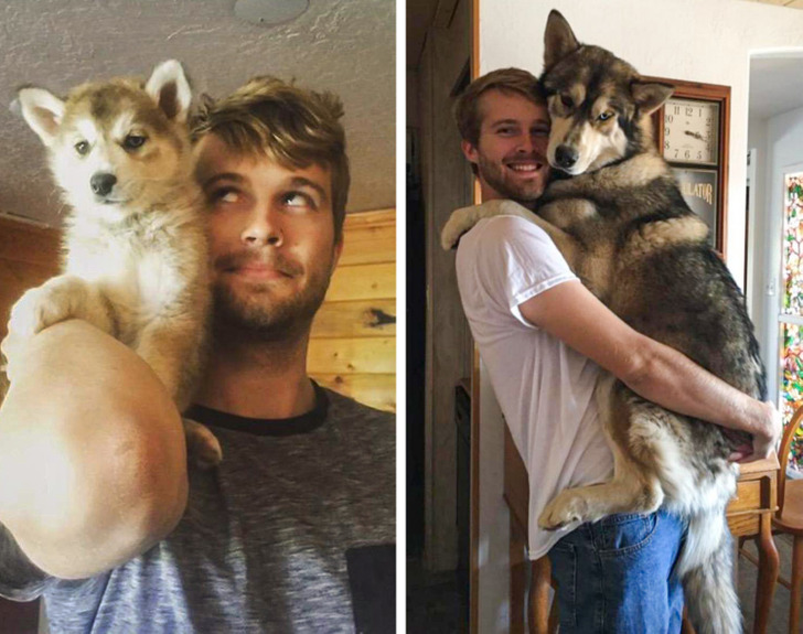 8b3ba85adea9edd49205a251c8