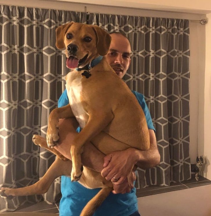 8b5eb754d2aa9cda6dda533ea0