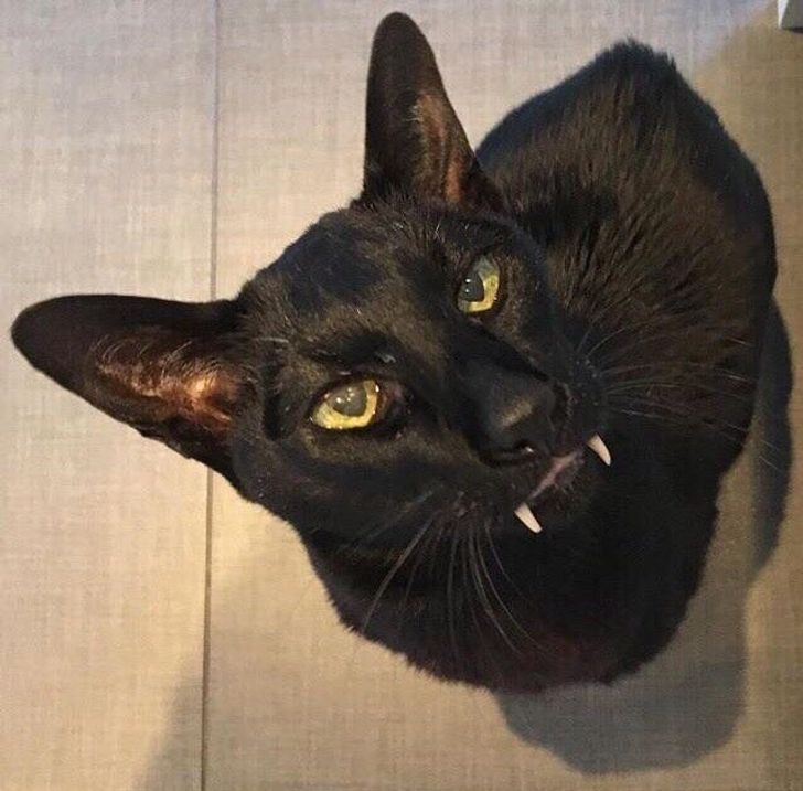 8b60bd53a9abe2c401a66cc190