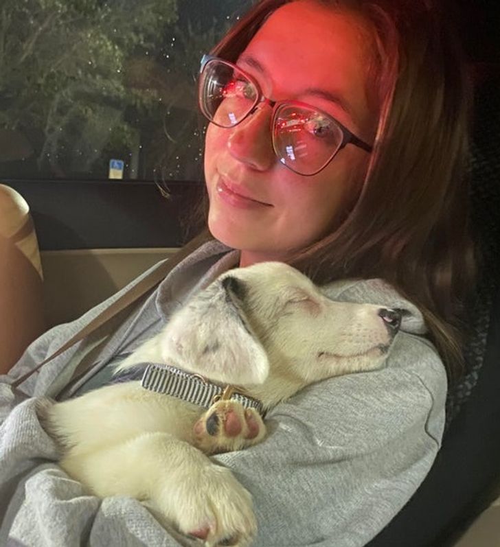 8b67485d4e9e4111e832c38229