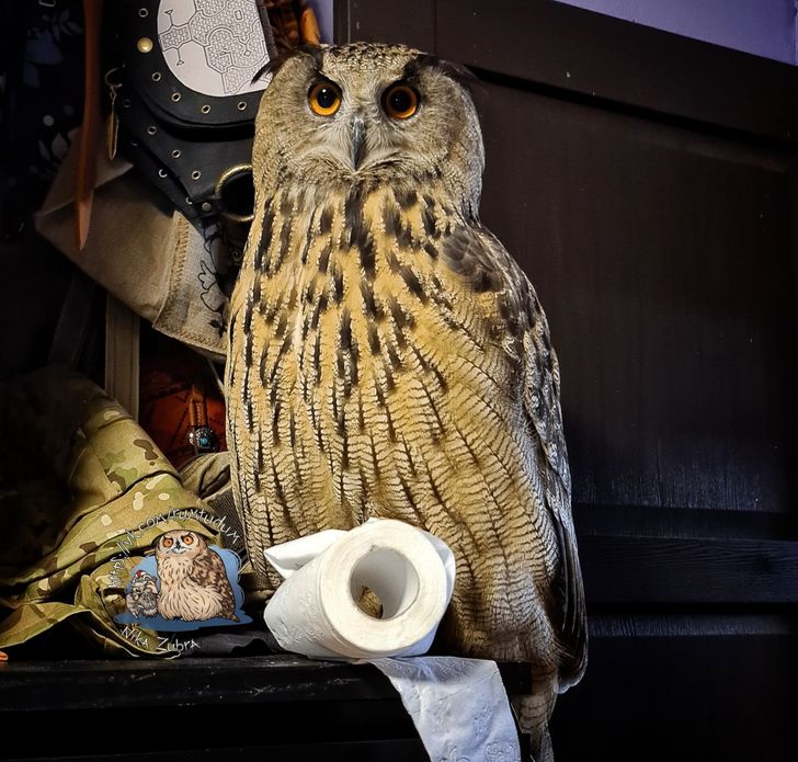 8b6cec5e12b42d8841da9ae5fd