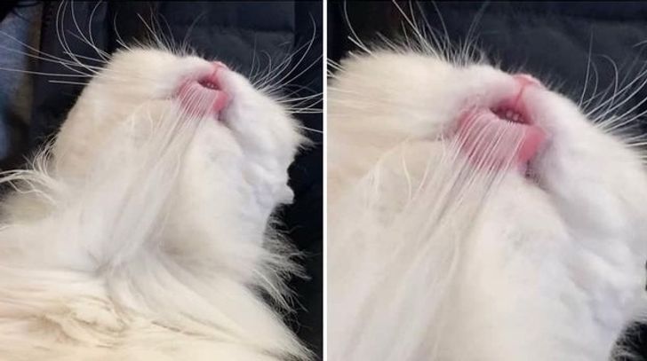 8b6de15841b1e3dd29abf900e4