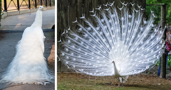 8b6e945567914203e690b973ce