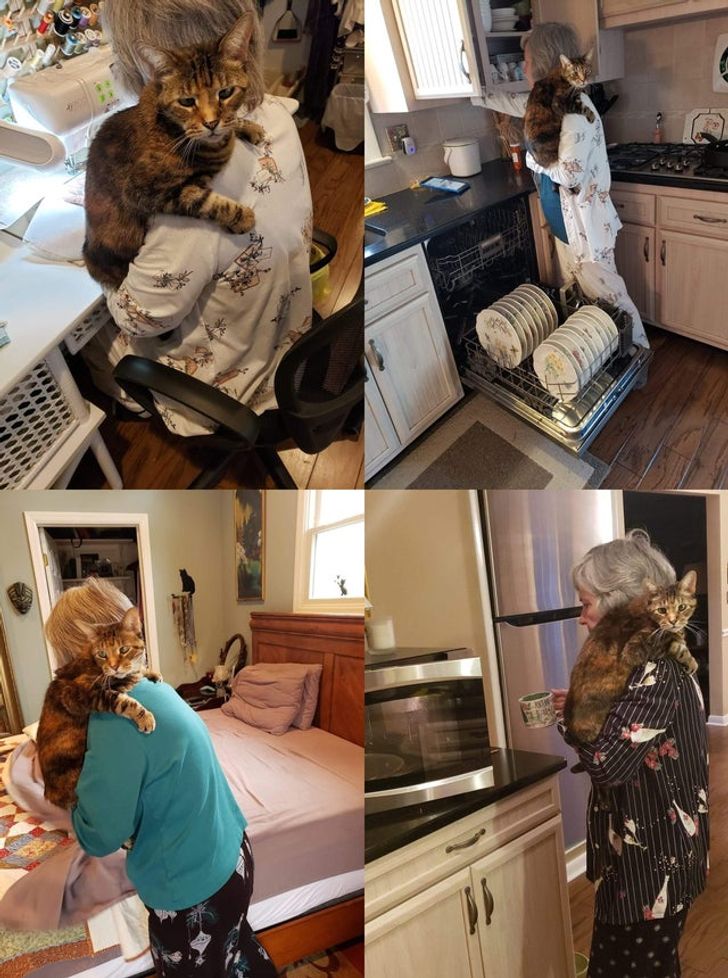 8b6f46517582096664260e92e9