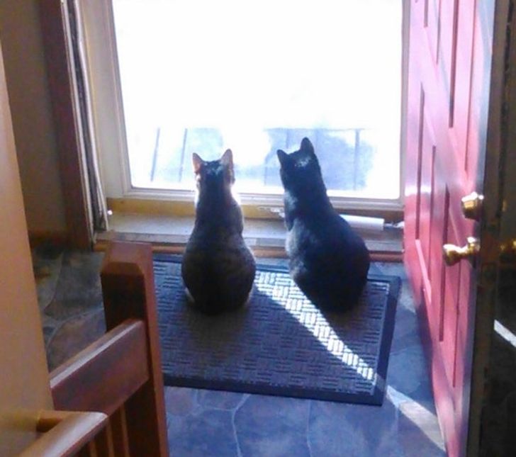 8b820b5e229a760d308fff5bda