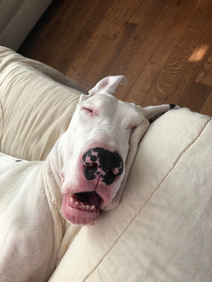 8b83ee5952a2b80b02236ef16d