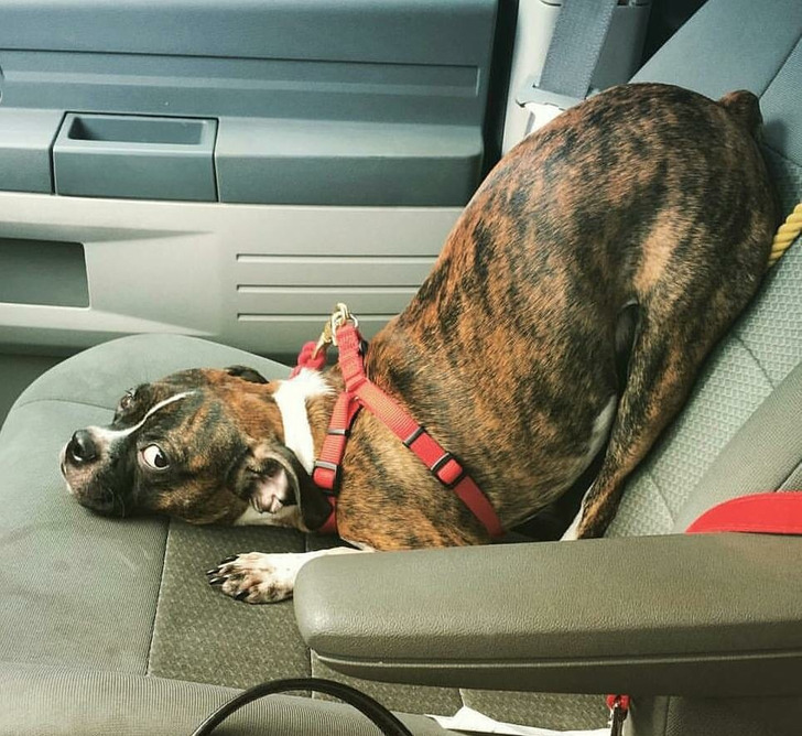 8b8b8a57e1933fd283edaf36b1