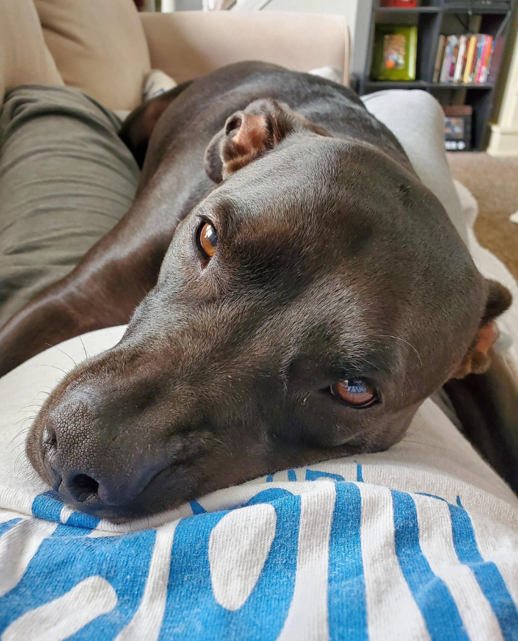 8b8f8956378d6eb8793df1577d 8b8f8956378d6eb8793df1577d