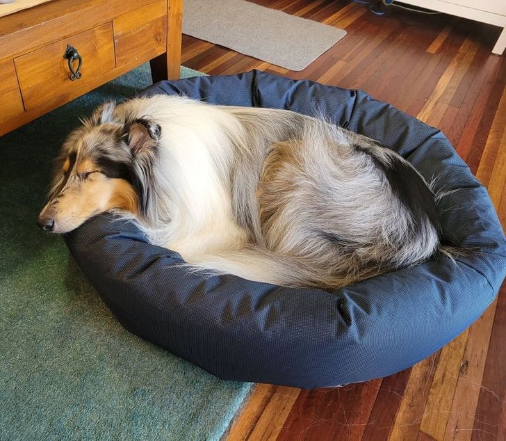 8b91ca5e2a89fcdc1da7e1f514