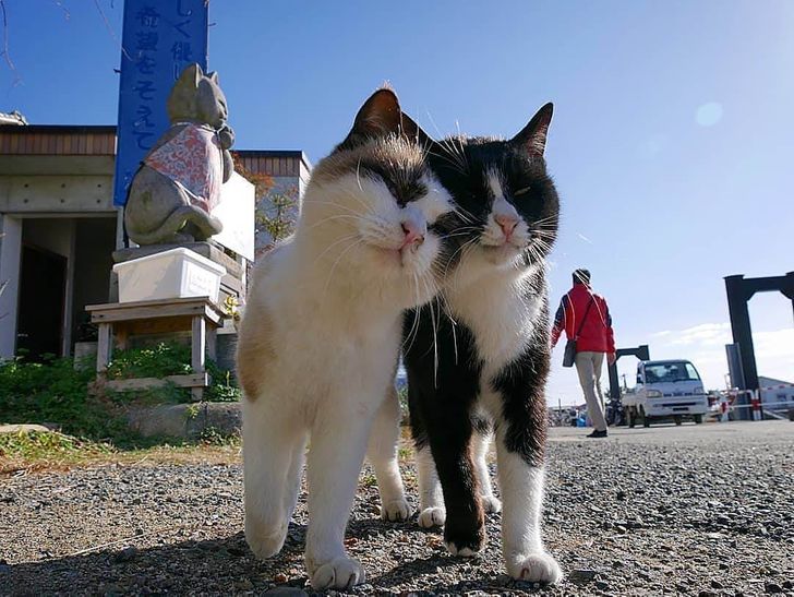 8b929957879798c1238f52be1d