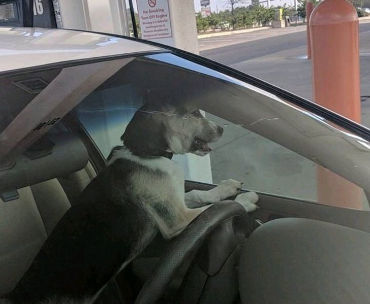 8b9380580ba9ad5a60c49be894