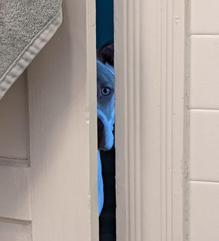 8b95305c549ff1740fc19cc0b5