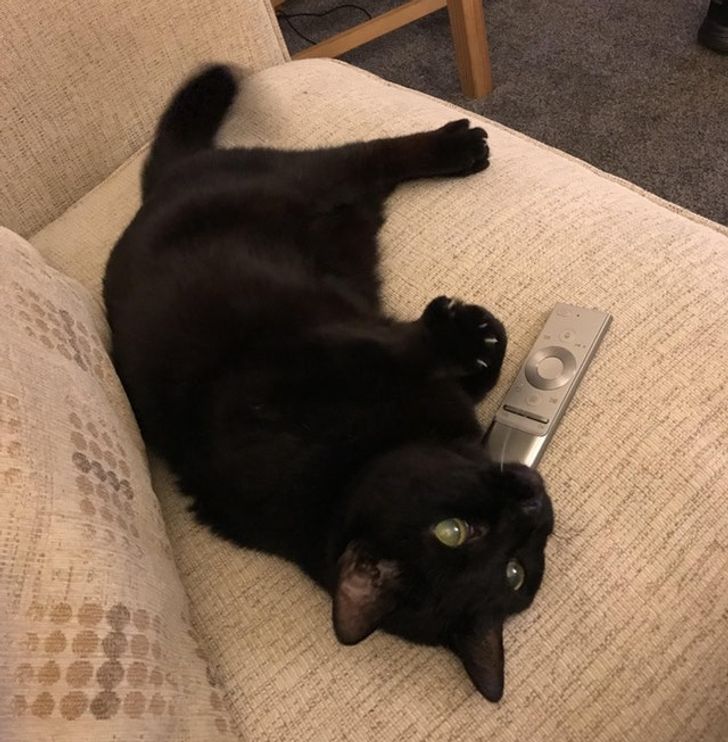 8b998150508bbda8a496ae715d 8b998150508bbda8a496ae715d