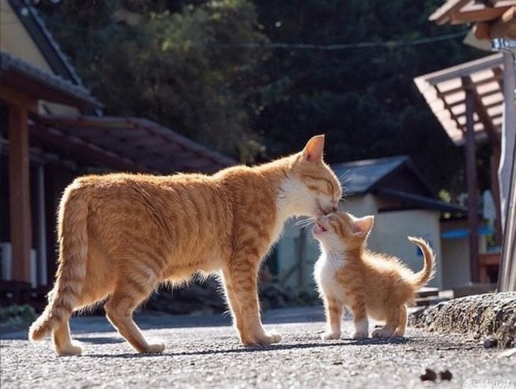 8ba1e75e4097c0c2a33557f9cf