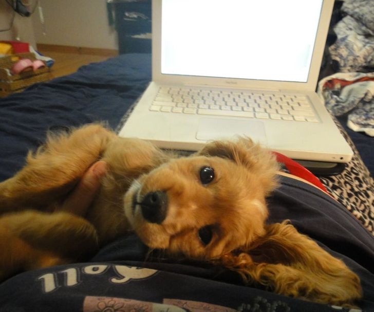 8ba6f254e48f7c6379ddc0ba79