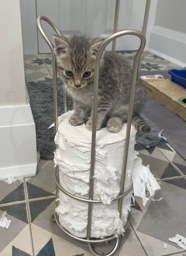 8bb0f55bf9bdd21f0698dc14a5 8bb0f55bf9bdd21f0698dc14a5