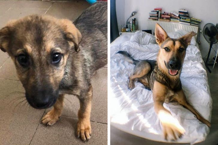 8bb18453fba742a6d700857020