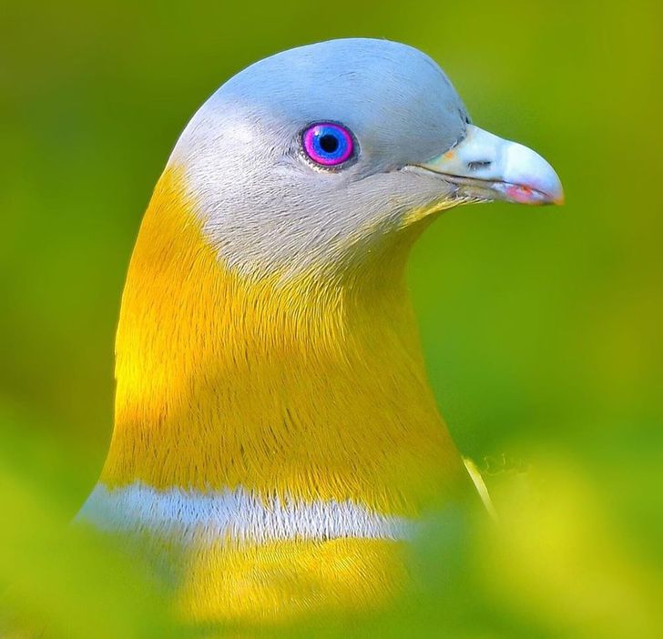 8bbad7586eb7f4d2d2472b937d