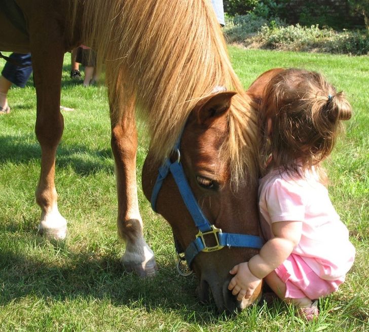 8bbdc15143a85cfbbf73aa6b8d