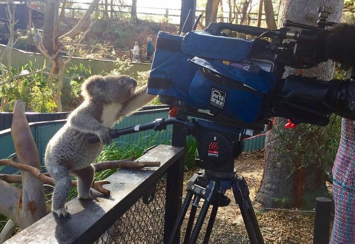 8bc0055809b12bee7b320ba348