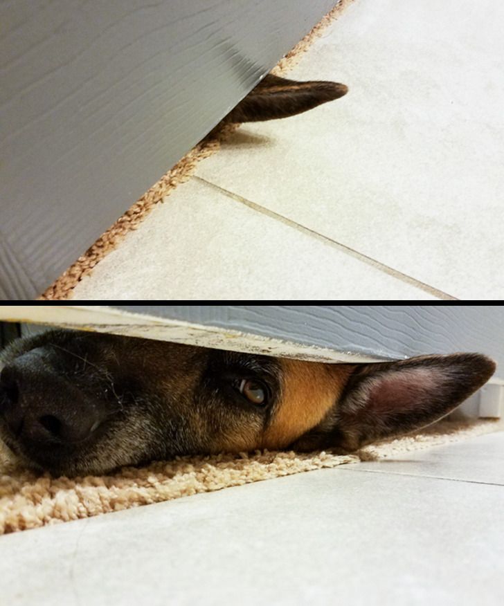 8bc32559829be618e379b5e5b4