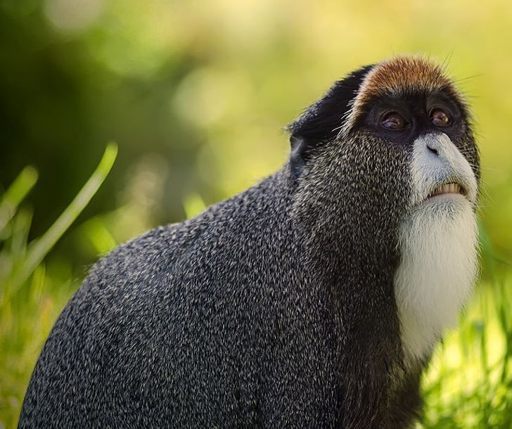 8bc32b535cb24ac13c851952ca