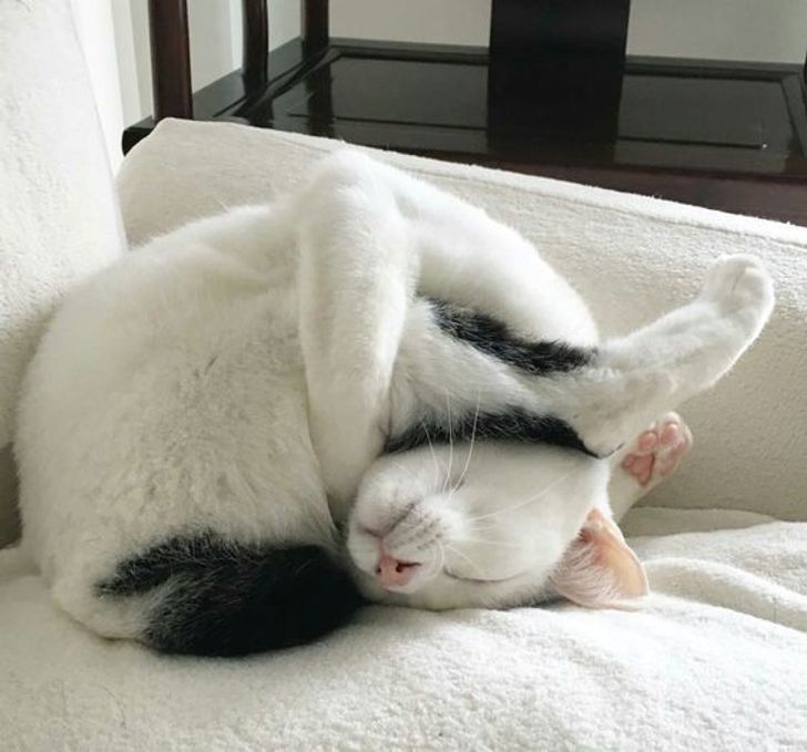 8bcc6a5076b4fbd652a2c7de27