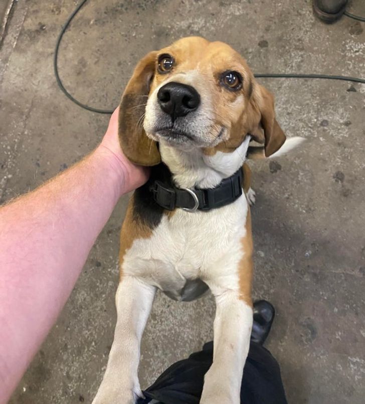 8bd4bd5fc687f145f29c8f2e3b