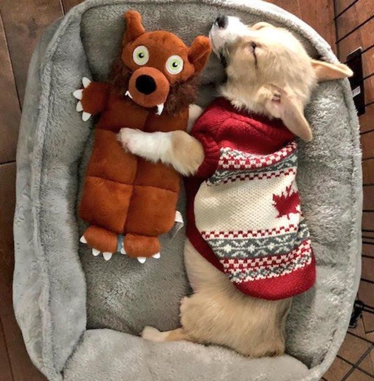 8bd57f5133bc8daae3bd62f5ab