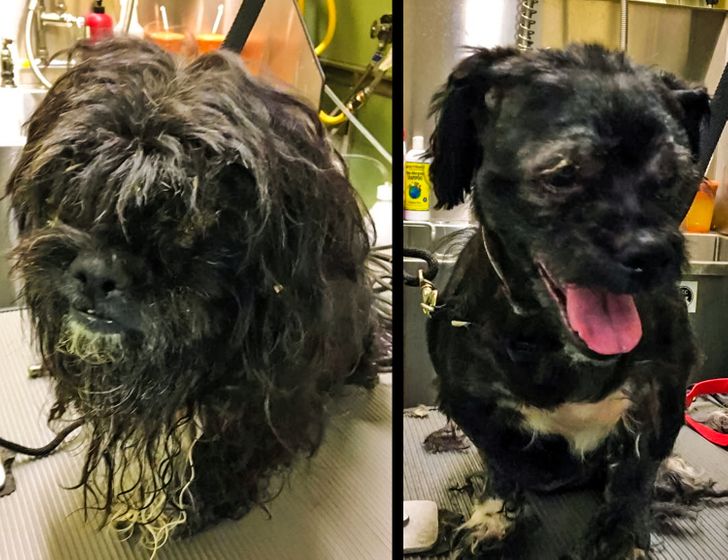 8bd8be59629cb99df999e61f98