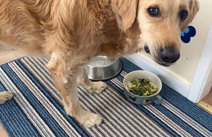 8bd9155914b07acdbb8839f01c