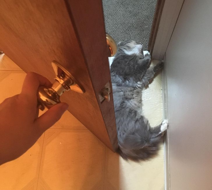 8bd9385ba2a22cabecb0d618cb