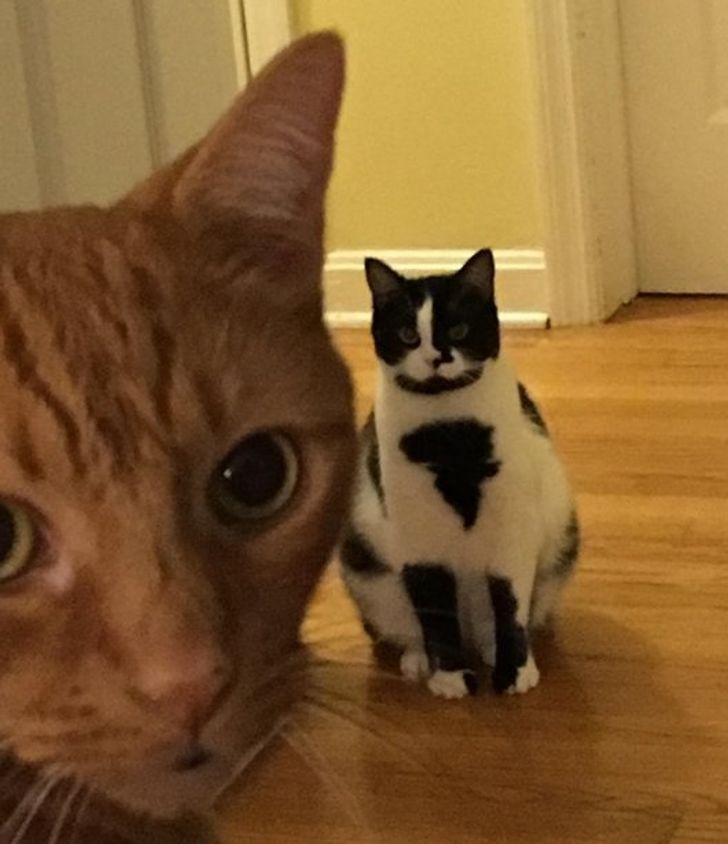 8bda985c9a883bf5a8c3f1cd02