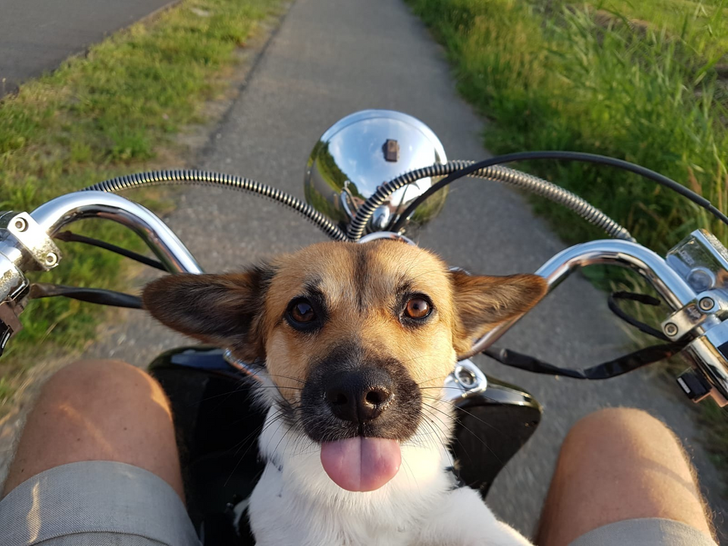 8bdcac5e52bf0572287f19fb77