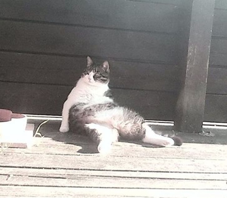 8bdf33564a96b52fba6f70b0f9