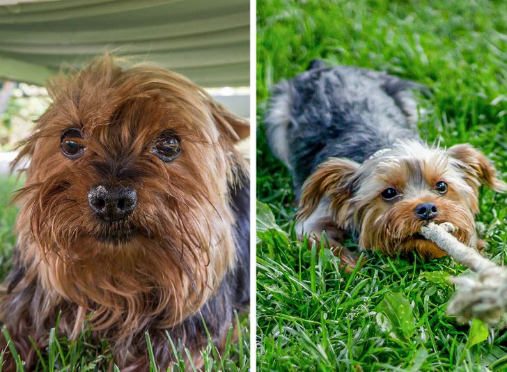 8be9db554dbe12e6e82d5d5921