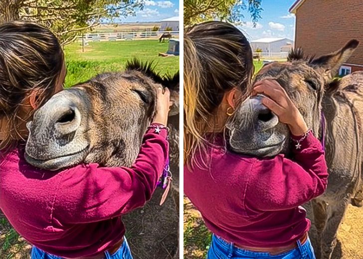 8bf9f457289f57d8d82c8456b1