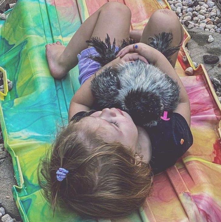 8bfa385a2f92fc5e40fa6c1de1