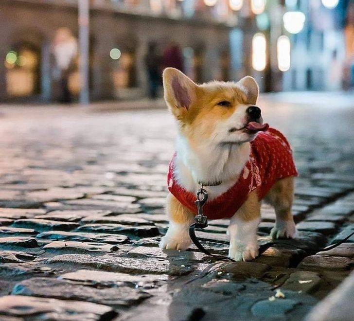 8bfadb510facb08deec9fae866