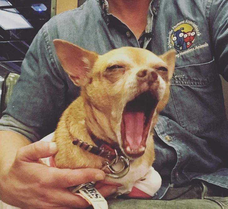 8c05d05573a8ed5a9e0f8fc05c