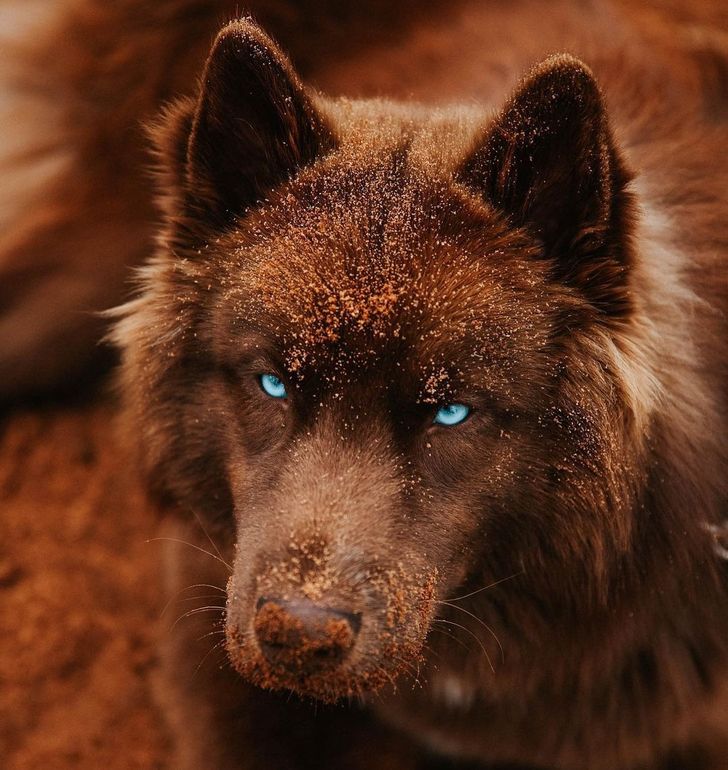 8c07d65b4989bd8e634689df0f