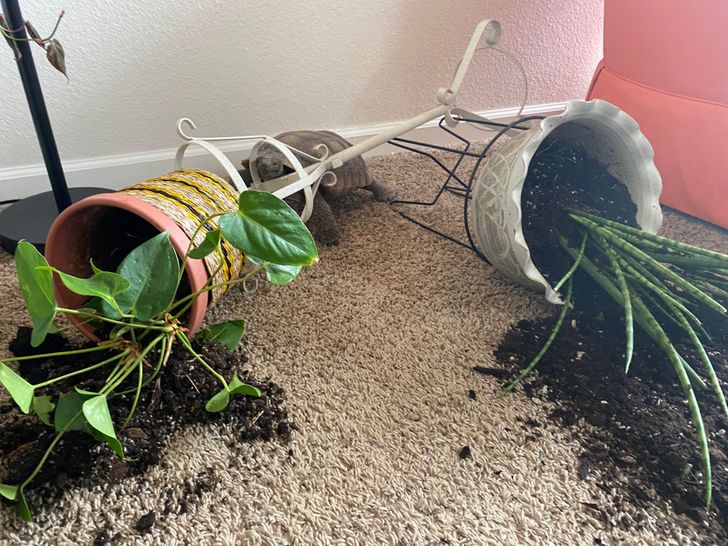 8c0e405fdbb1c6b459457af0c1 8c0e405fdbb1c6b459457af0c1