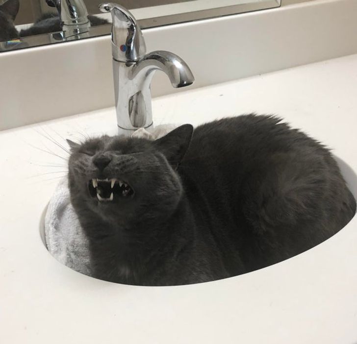 8c120a5ff6a939fa9d3dc6dde2