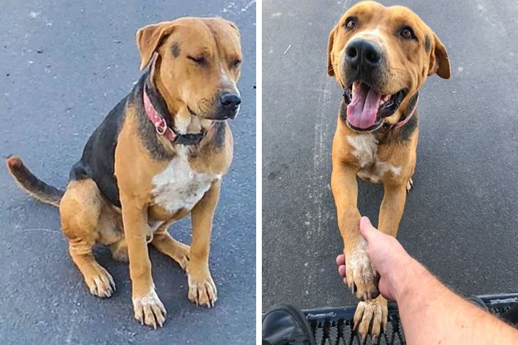 8c13915db69855a9cf83d881e9