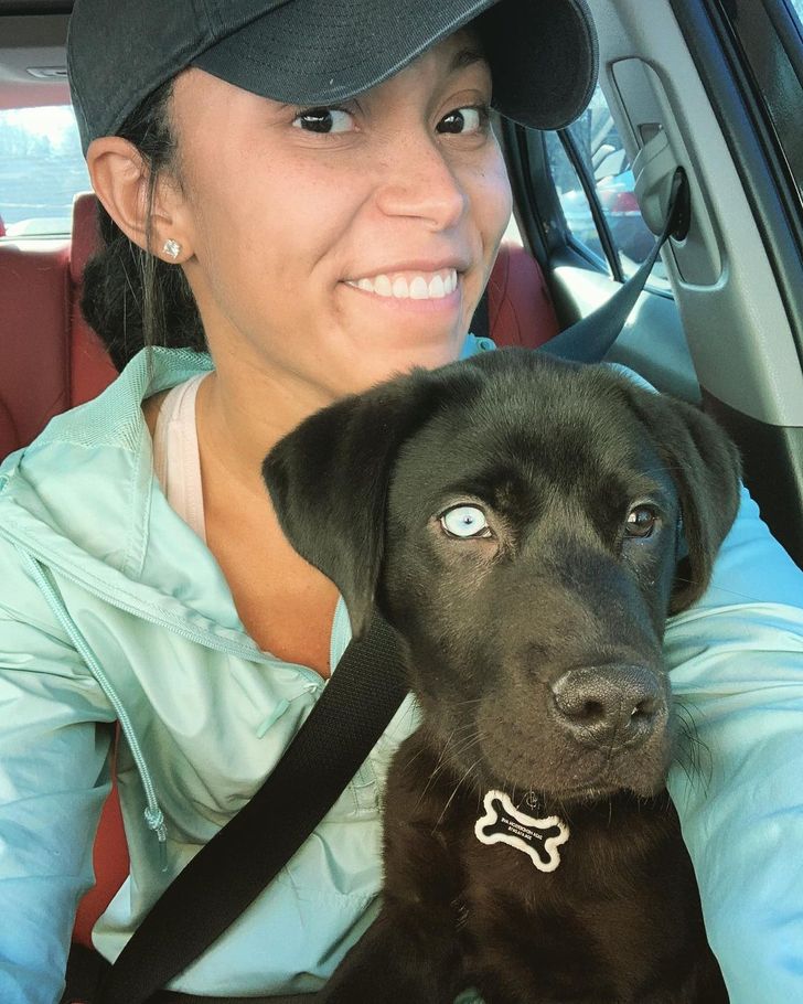 8c1b785b048eedae3dfd152c42