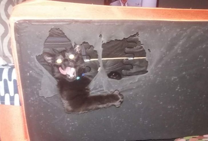 8c2bf15d369de7ea4fa425152d