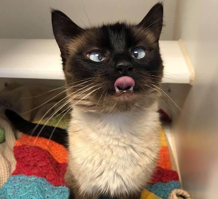 8c318152cba8e1b7953dc1e619